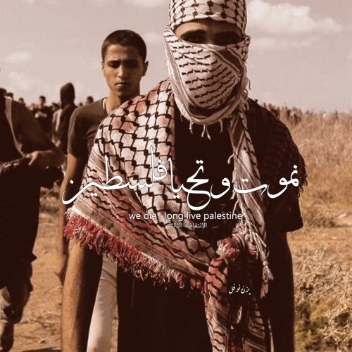 palestumblr's tweet photo. " نمُوت .. لتحيا فلسطينُنا ". https://t.co/ka3FGKP453