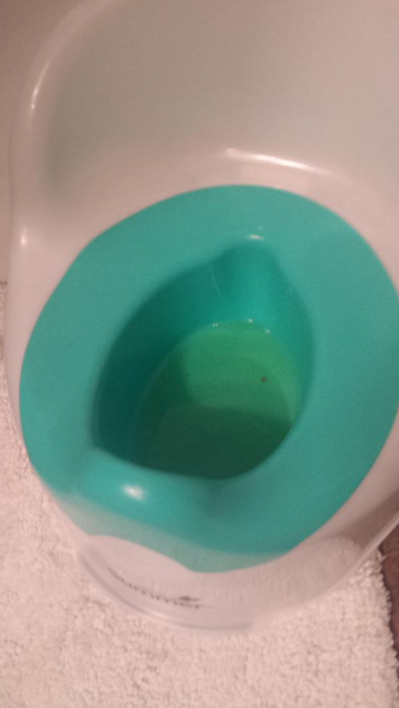 WatchBenGrow's tweet photo. Can you guess what this is? 3 clues: My. First.  Pee. https://t.co/GnXMi7G1j2