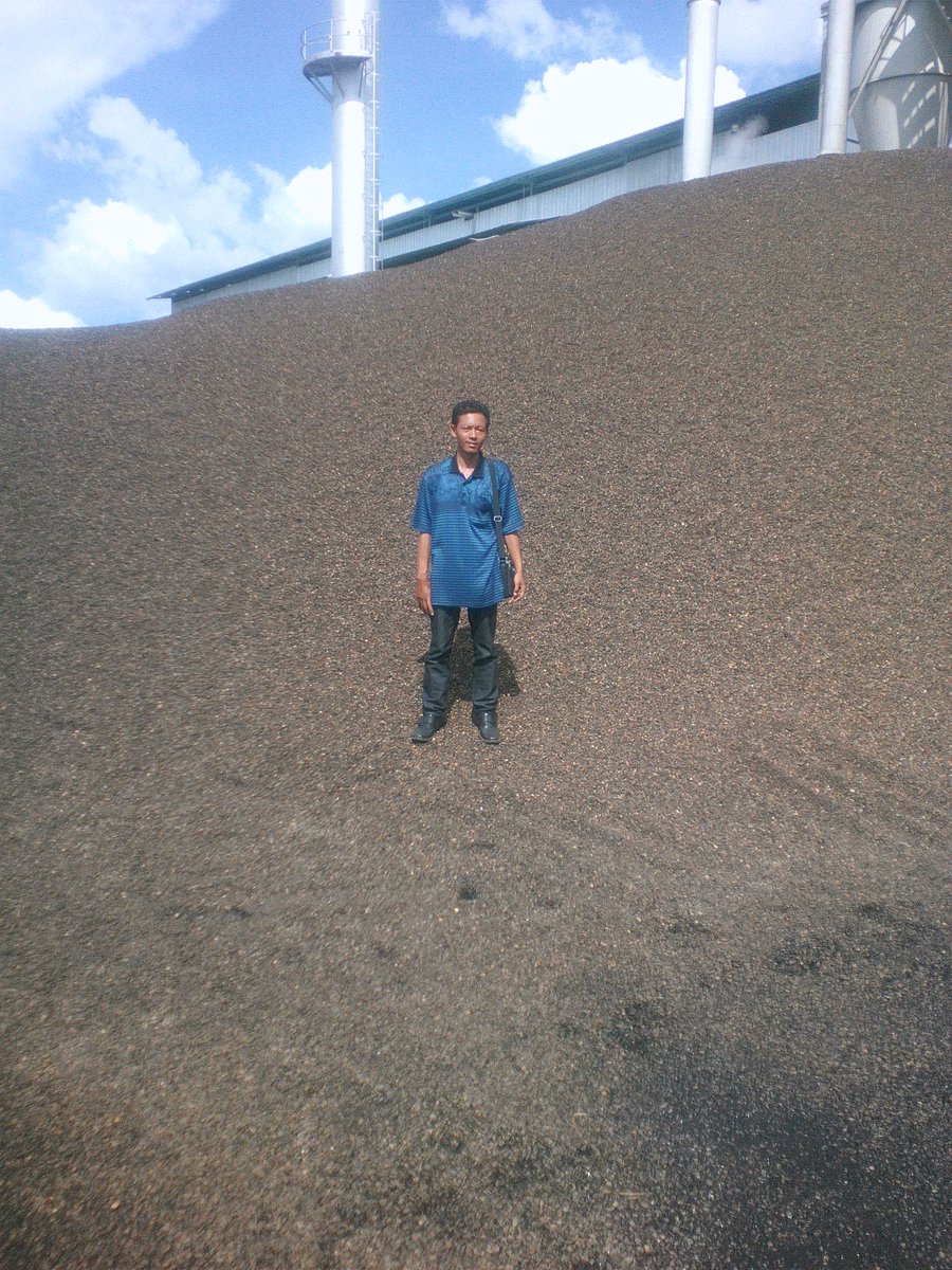 natwidodo's tweet image. Bismillah...persiapan cargo untuk China. #palmkernelshell #export