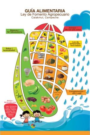 Educomalli A.C. tweet media