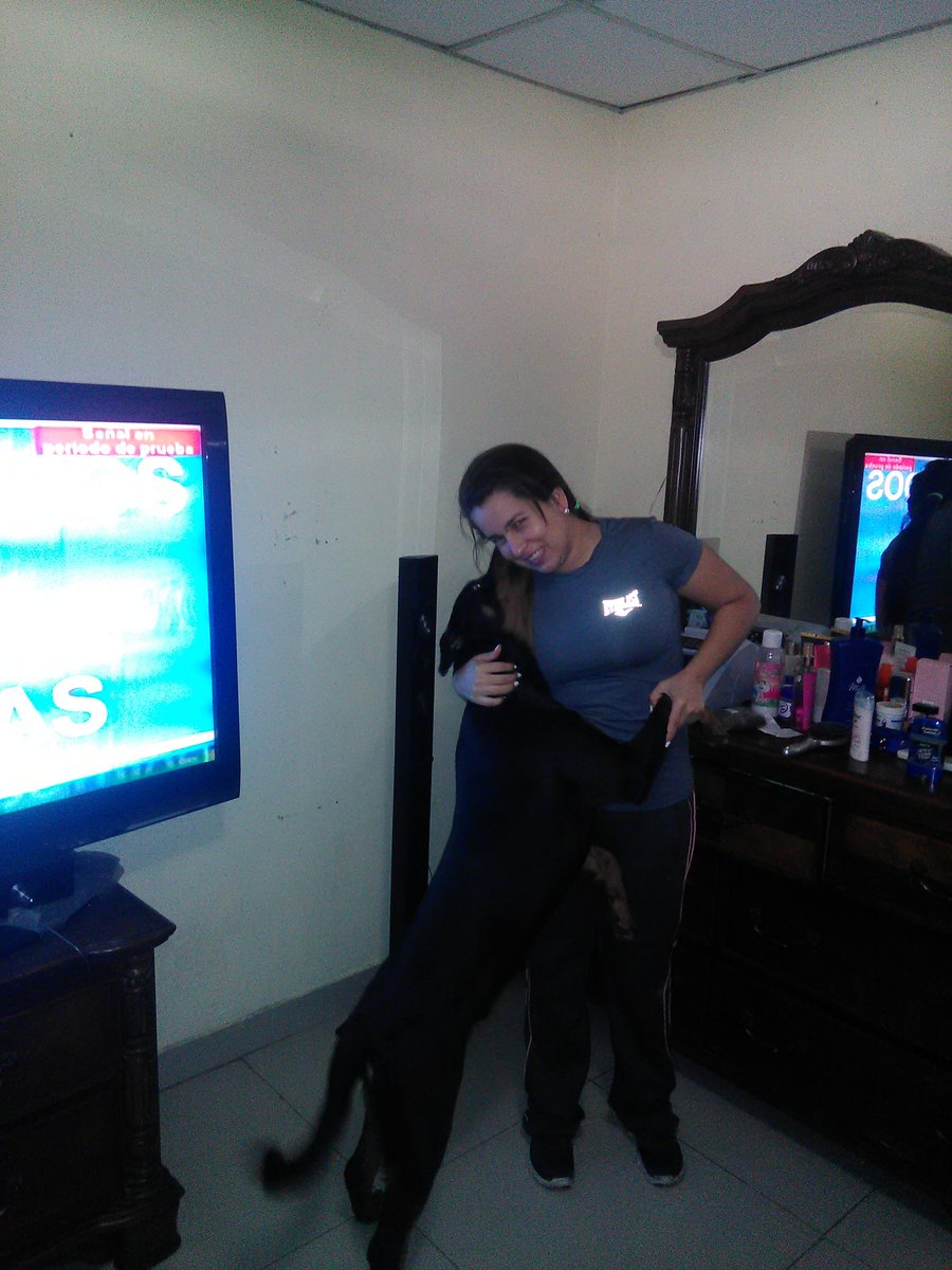 camilon380 tweet picture