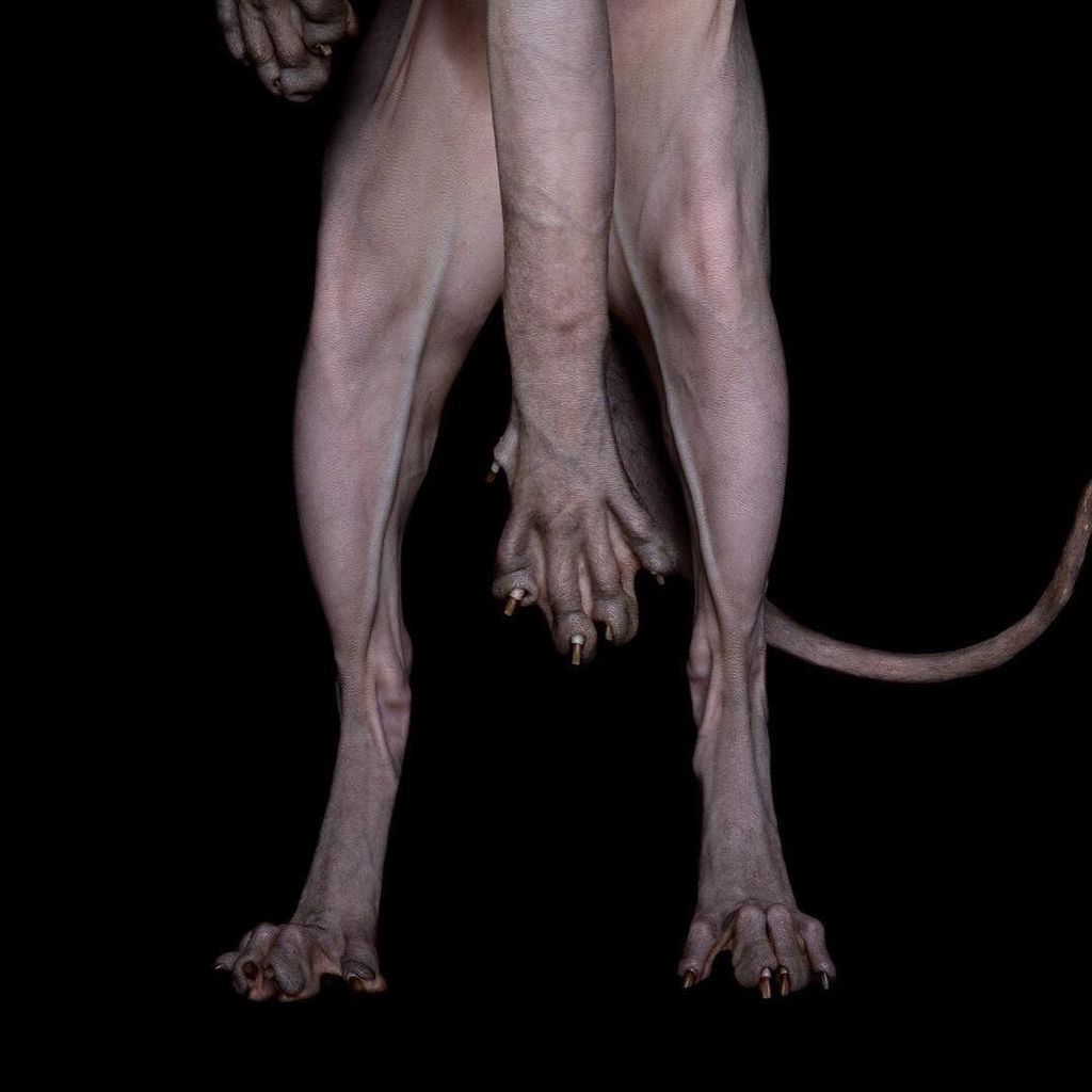 H A N G I N G. I N. T H E R E 
This post is to encourage all the people who's hanging in t… ift.tt/2duVkm4