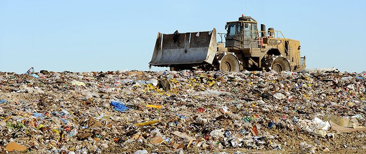Plastids2k16's tweet photo. Ever wonder why plastids aren't in animals? Because we wont engage in this destruction of our planet. C'mon @TheAntiCell @COskeleton_1738 https://t.co/diOUzsBKCa