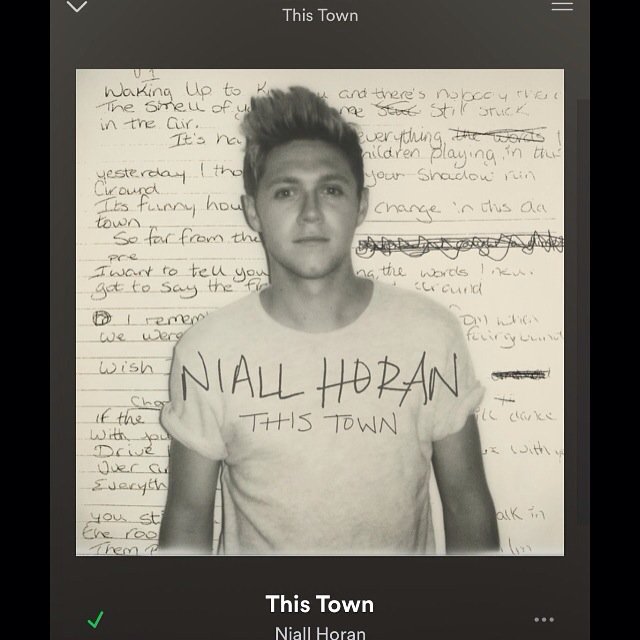 theoHOfficial_'s tweet photo. @NiallOfficial well done uncle Niall x https://t.co/51AB8Vupos