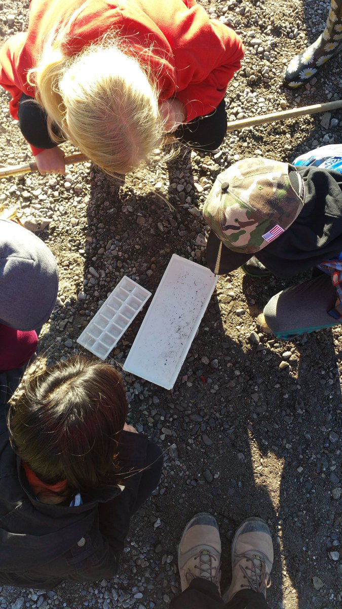 Great day for 8-20 to spend some time  in the Elbow Valley studying water quality.