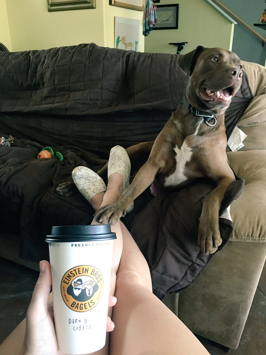 RAG800m's tweet photo. Happy National Coffee Day ☕️ Thanks @EinsteinBros for my free #darngoodcoffee to celebrate! 🎉 #coffeeandpuppies https://t.co/ECDgFXLkEb