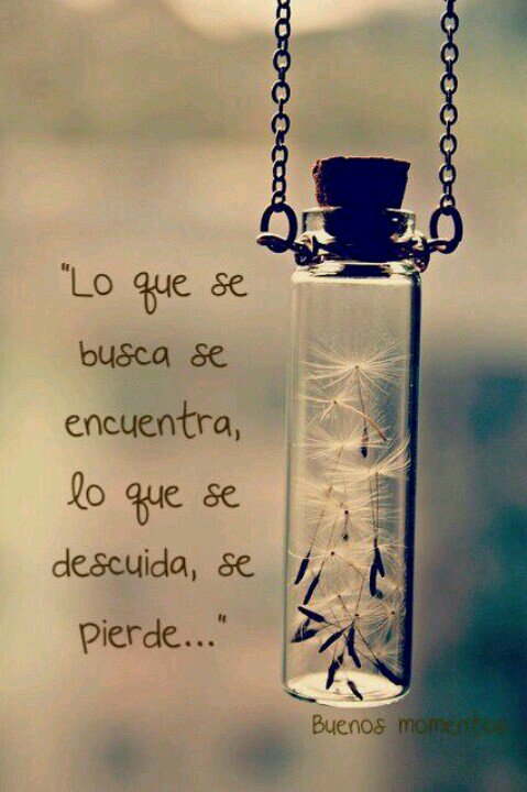 diarbrujablanca's tweet image. #descuidar #perder