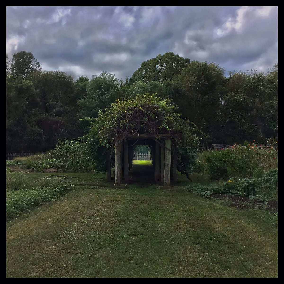 "Light at the end..."
The gardens of the Moravian settlement, est. 1753.   #myws #iphone #snapseed #spooky