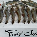 Photo by Fish On (@GetMyFishOn)