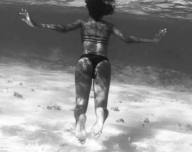 OceanSciSailing's tweet photo. Dive in to a unique sailing experience #SeaDifferently | 📷: @sucreacoco https://t.co/376zqAdXbg