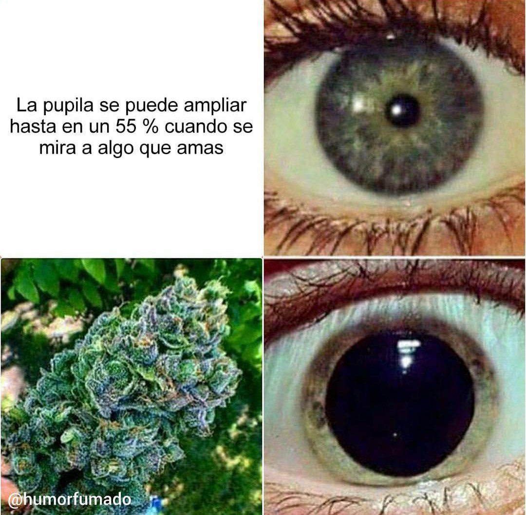 humorfumado's tweet photo. RT Sí es cierto...😂
#Marihuana #HumorFumado https://t.co/RlQ6RpxQUc