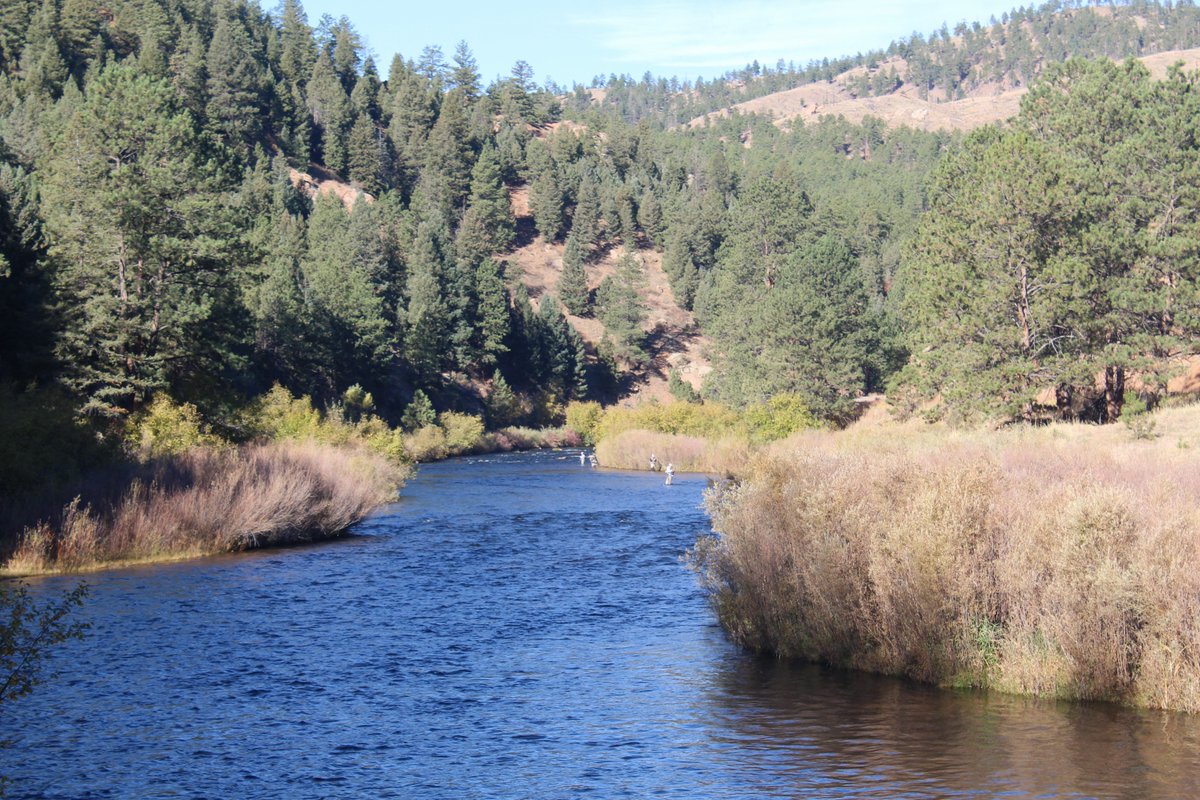 DiscoverDeckers's tweet photo. Great Fall #Coloradoflyfishing in Decker's, Colorado. #Cabinrentals, camping, hiking, rock climbing, tubing, rafting https://t.co/cES3BopqYU