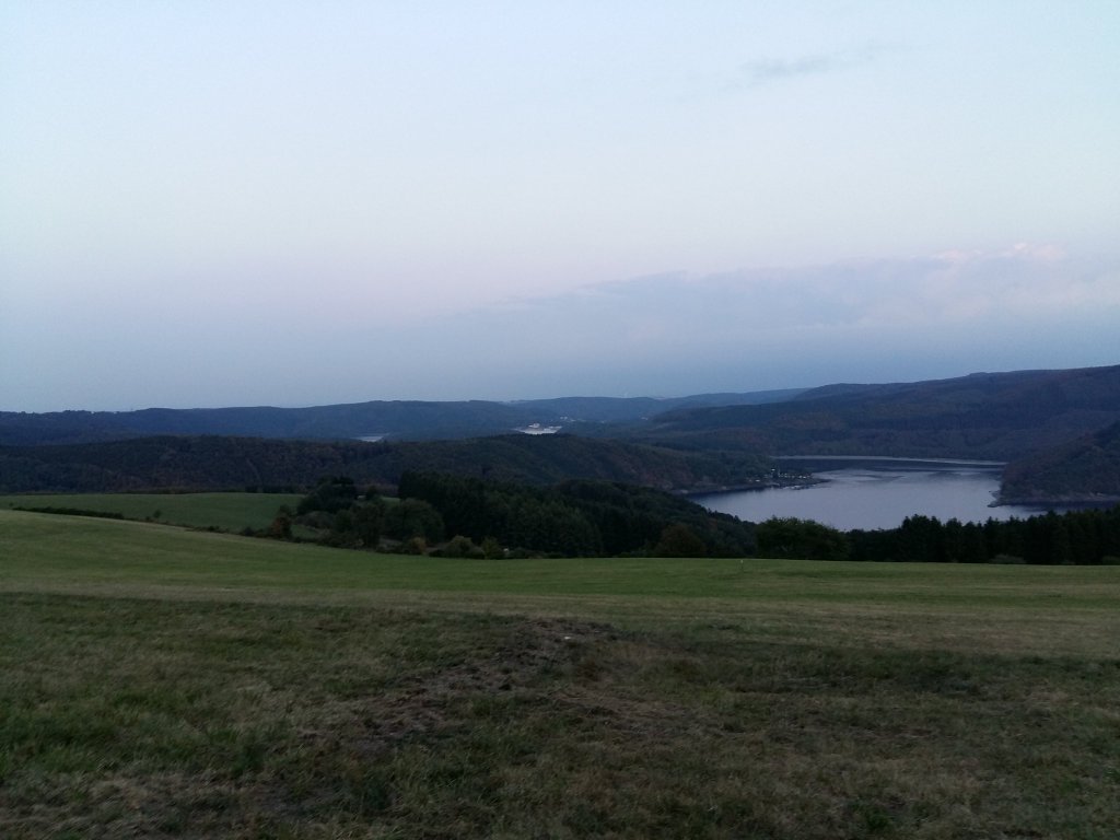 PicThisNature's tweet photo. #gras #PicThisNature @Sesterzen https://t.co/mLbPbGYCwa