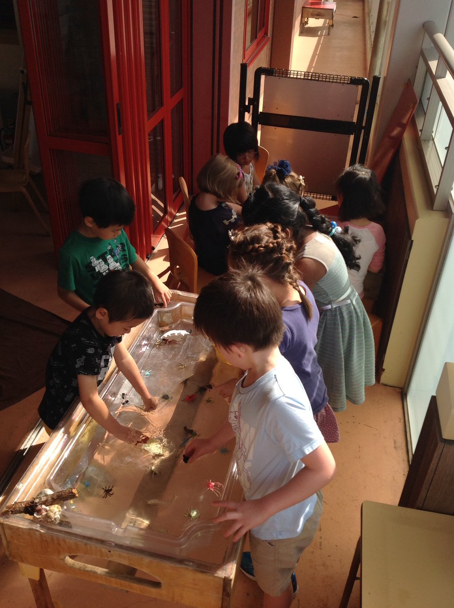 elcasij's tweet photo. A beeeautiful day for sand and water play! ☀️

#asij #asijelc #waterplay #sandtable #kindergarten #earlychildhood #usingourhandstolearn https://t.co/kZ4TgzSHLv