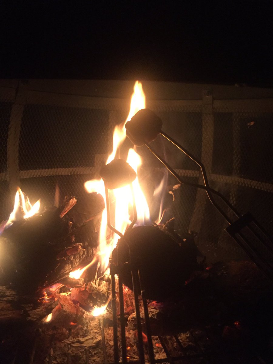 basehits5's tweet photo. Roasting mallows #fallfirepit @tennessee_lamb_ #dixiegirl #rescuedog #familytime https://t.co/uGDG2x22at