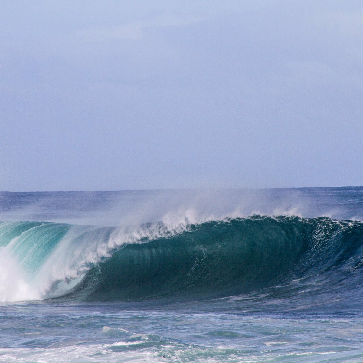 WaveWrecker's tweet photo. Oh hey, #cutie 😏
.
.
.
#WaveWrecker #magic #waves #board #betheboard https://t.co/7eLkSkNuSu