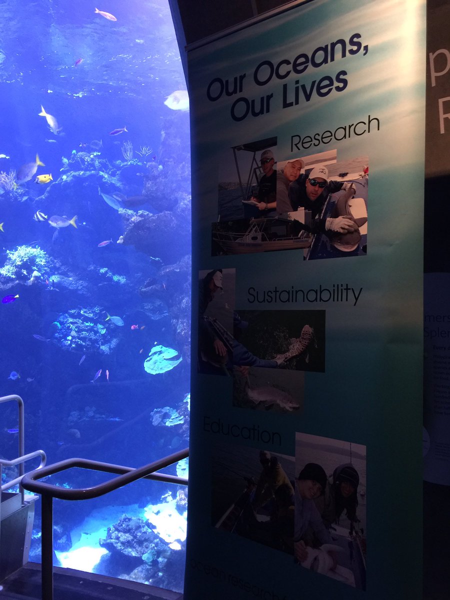 Team_ORF's tweet photo. At @calacademy #nightlife getting ready for #sharktober trivia! Coral reef aquarium 6:45pm &amp; 7pm! https://t.co/NybPepQfxs