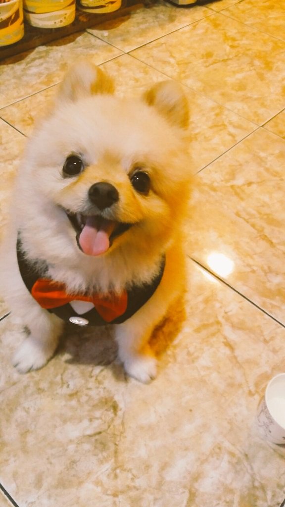 neigade22's tweet photo. 헤헷 https://t.co/3ilpBreunI