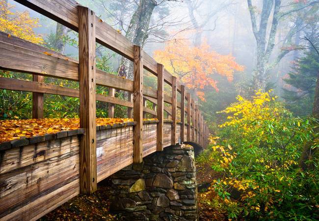 Imagekind's tweet image. "Tanawha Trail Foot Bridge - Rough Ridge" by Dave Allen.  See more stunning nature images at bit.ly/2dpX2jg!