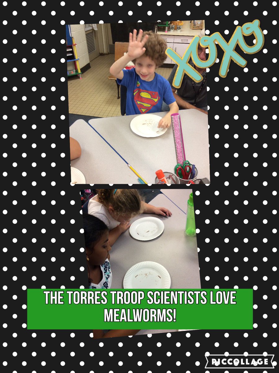 TorresTroop2's tweet photo. @TorresTroop2 @WassWolves https://t.co/GTvsNOC4FM