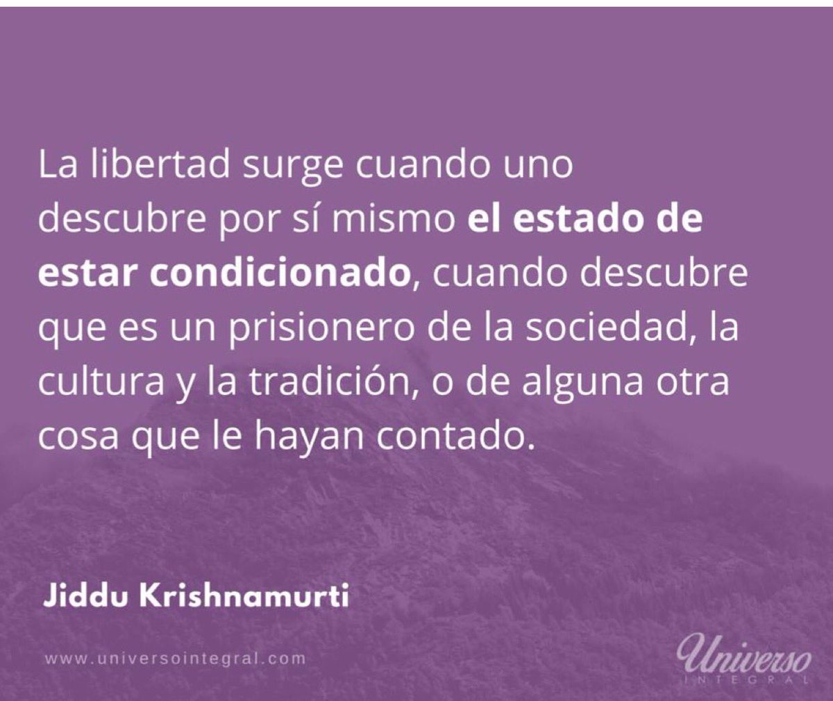 sorsired's tweet photo. https://t.co/xfjp40hRV2