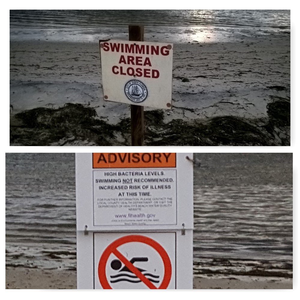 robinson33607's tweet photo. @CityofTampa @StPeteFL @MyClearwater ...  Here’s your report card on wastewater management. We are better than this! https://t.co/HYwK2Fr3fG