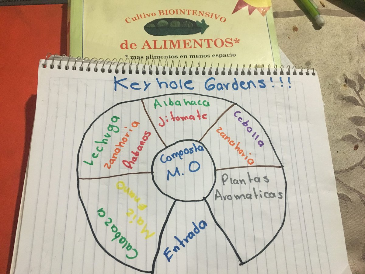AndresAgr95's tweet photo. keyhole garden!! produccion de alimento con metedo biointensivo.@agorajavier @CiaspeMexico https://t.co/04aKI1AIv3