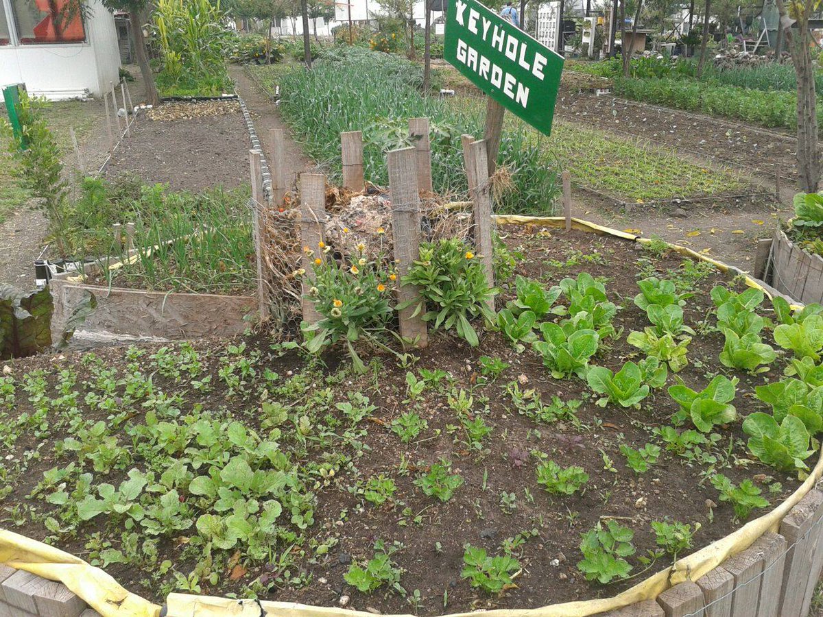 AndresAgr95's tweet photo. keyhole garden!! produccion de alimento con metedo biointensivo.@agorajavier @CiaspeMexico https://t.co/04aKI1AIv3