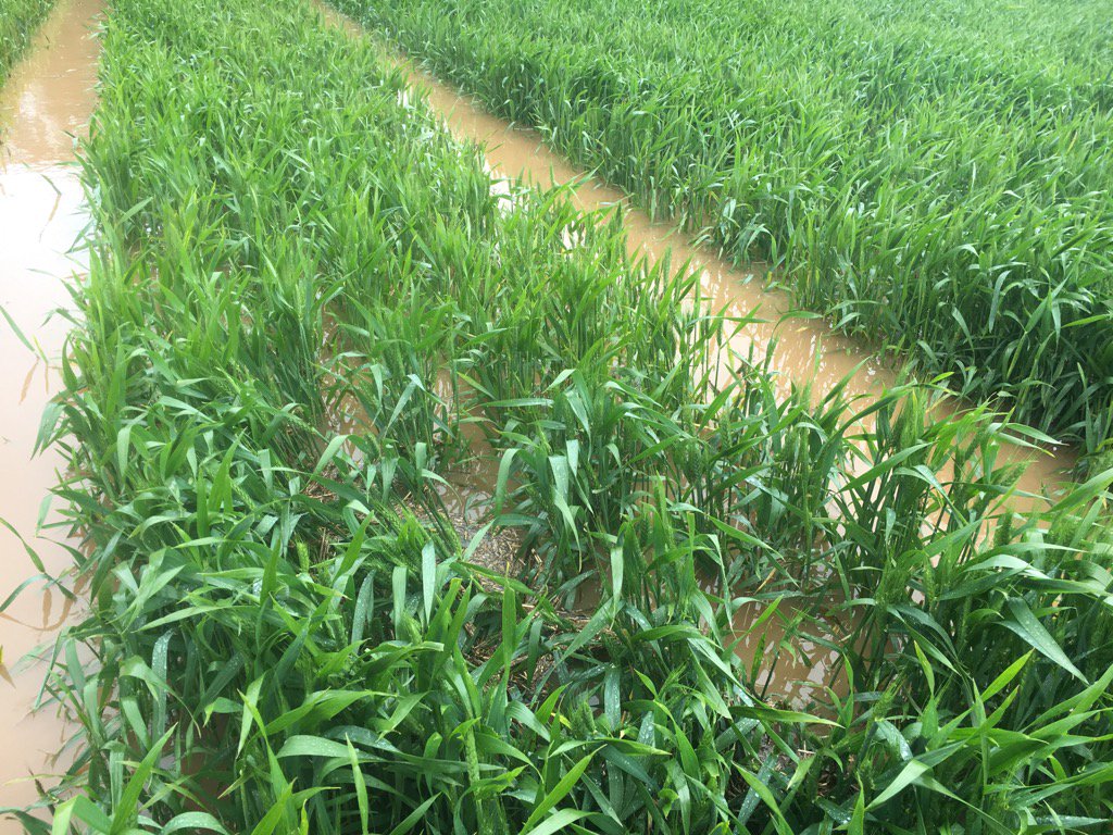 Guess I don't need to worry about RWA here