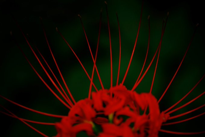 近所 高画質 のtwitterイラスト検索結果 古い順