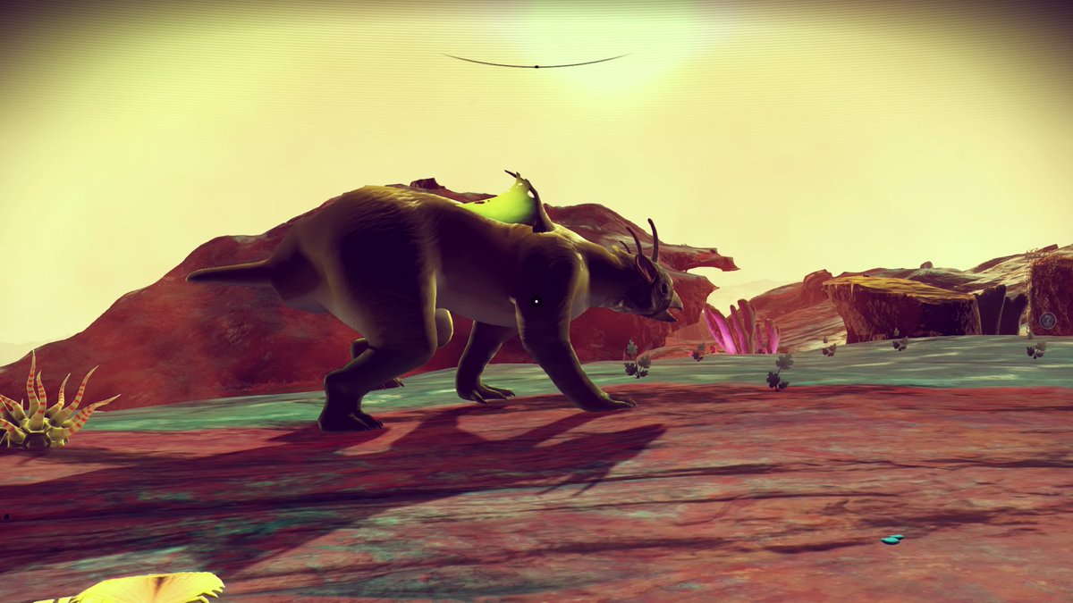 NMS Sojourn tweet media
