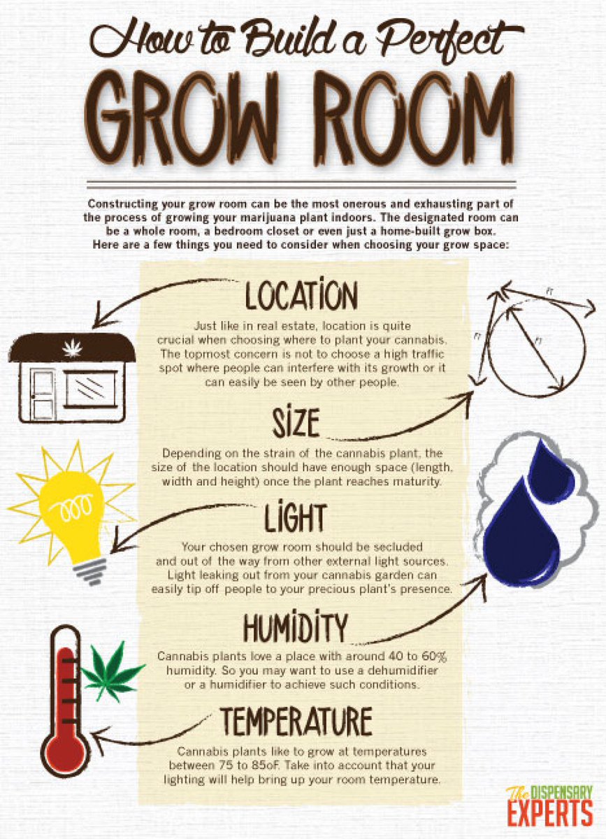 How to build perfect grow room?
#weedgrowhub #marijuanagrowing #cannabis #weed #growyourown