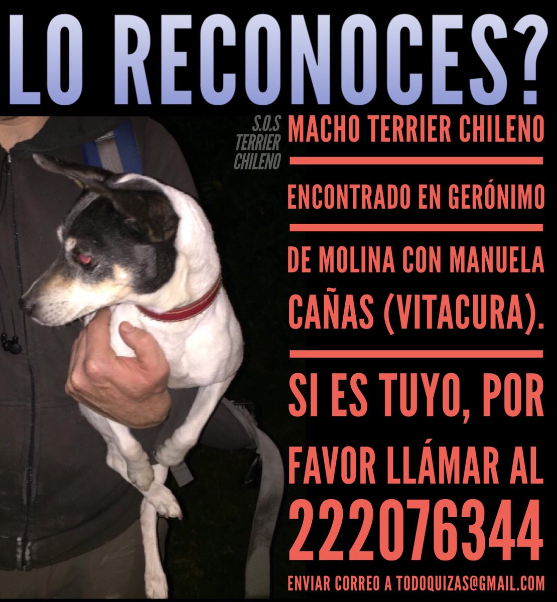 BUSCA A SU FAMILIA
ENCONTRADO EN VITACURA
SI ES TUYO CONTACTAR AL NÚMERO O MAIL DEL
CARTEL. facebook.com/permalink.php?… <a href="/lostpets_cl/">Lostpets.cl</a> <a href="/TonkaTP/">Tonka Tomicic</a>
