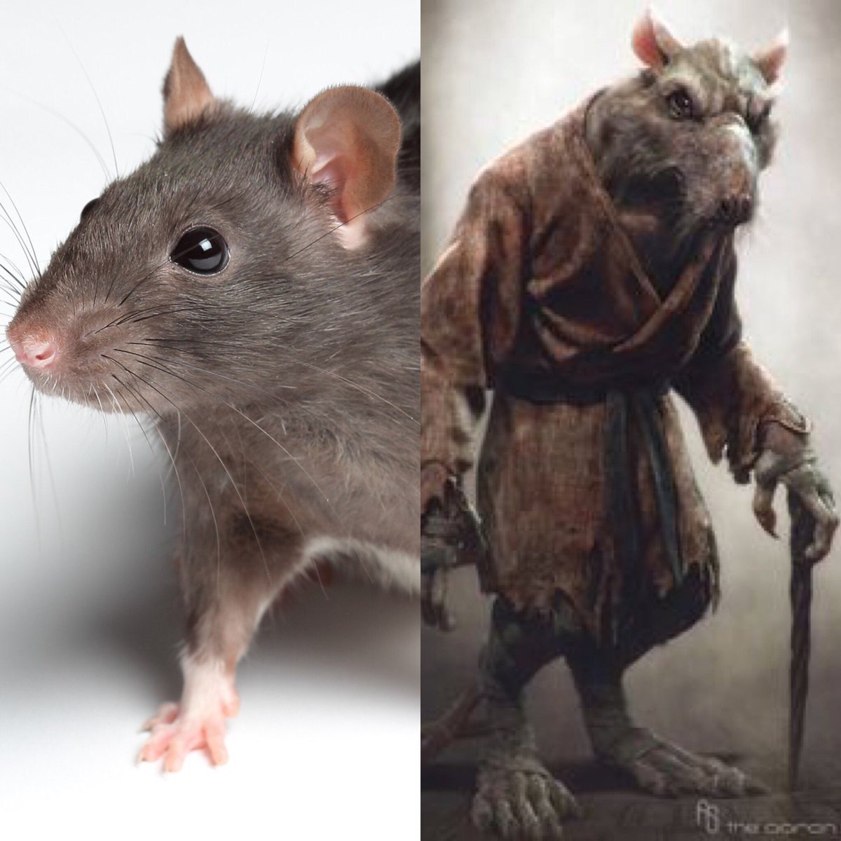 denomme18's tweet photo. Brad Marchand evolved tonight https://t.co/tWd9tJDPwy