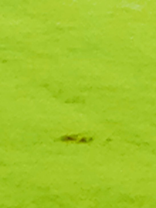 DancingFriar's tweet photo. #ReplaceYourDivot! This ain't TorreyPines! @ https://t.co/Z42Kc3YB74