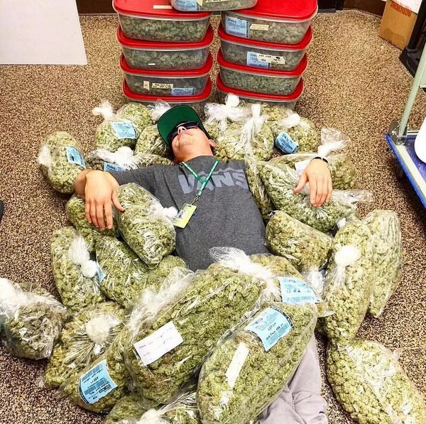 RxLeafMD's tweet photo. Mom: "So what are your goals? What do you want to be?"

Me: https://t.co/x7i9Y1pLGC