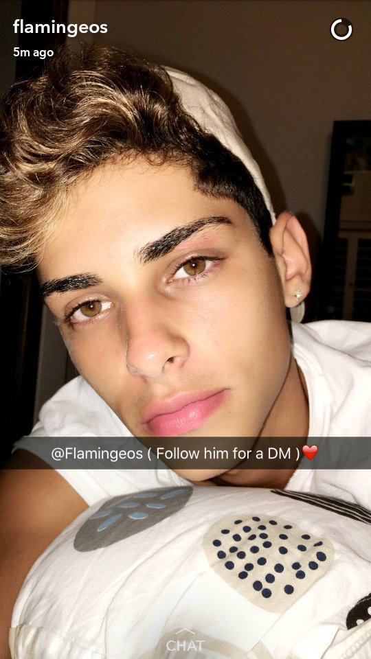 obey582's tweet photo. @Flamingeos https://t.co/cyHkxFhV3r