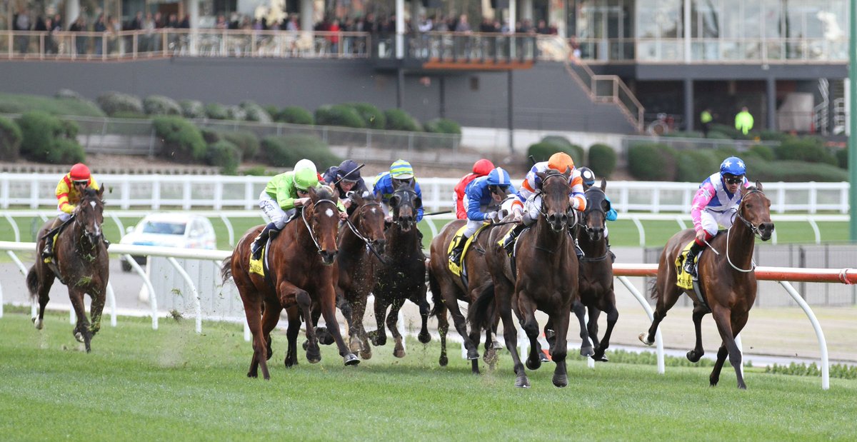JHRtips's tweet photo. Get On our Stutt Stakes TIPS: https://t.co/Px4vSsYeoG
#StuttStakes https://t.co/xv31hezQiz