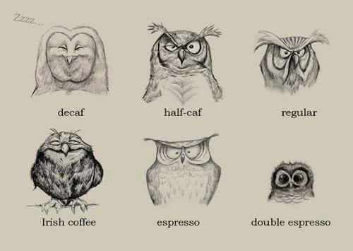 poojakashyap's tweet photo. #goodmorning #CoffeeMorning #coffee #capacino #coffeefaces https://t.co/yb1FEi1bAS