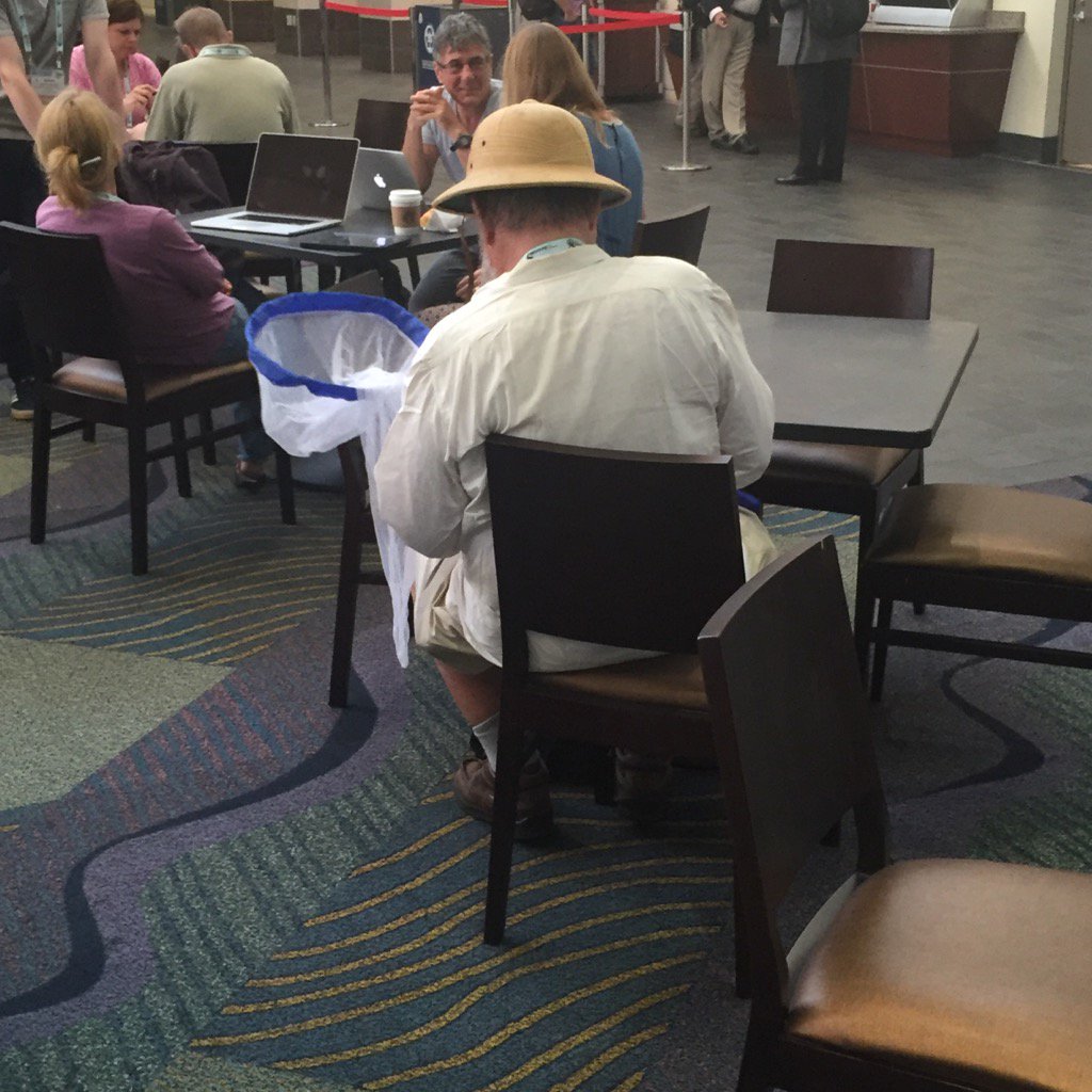 MayBerenbaum's tweet photo. At #ICE2016, I actually saw an entomologist wearing a pith helmet and cargo shorts and carrying a butterfly net... https://t.co/9WSu8ZhCdG