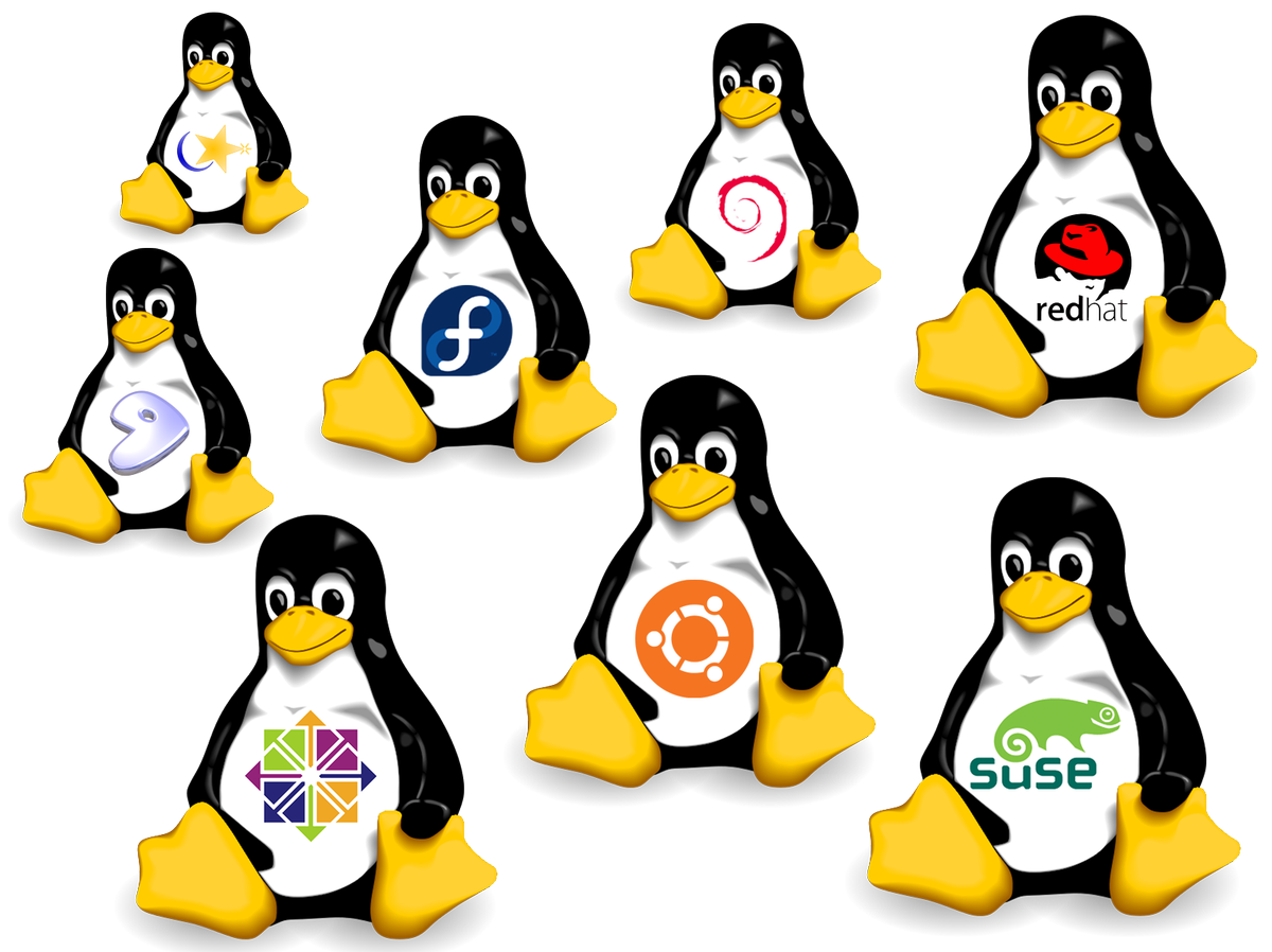 9TO5Hostcom's tweet photo. The Most Common 20 Supreme Commands in SSH
Feed your brain with these 20 most commonly used linux commands
https://t.co/tXO5yQt4ju https://t.co/IQZw93fbRi
