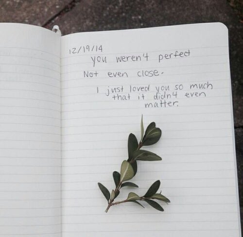 quote_aesthetic's tweet photo. If plants can continue to grow after winter has passed than so can you. https://t.co/Ll0HLz9H0b
