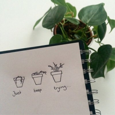 quote_aesthetic's tweet photo. If plants can continue to grow after winter has passed than so can you. https://t.co/Ll0HLz9H0b
