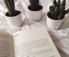 quote_aesthetic's tweet photo. If plants can continue to grow after winter has passed than so can you. https://t.co/Ll0HLz9H0b