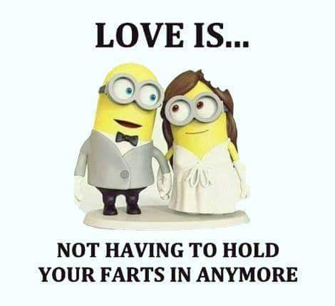 danzi185's tweet photo. aaaah True love... https://t.co/ltPAeflRB8