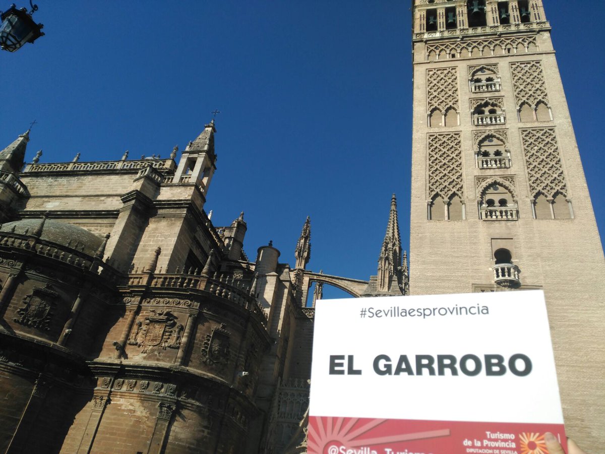 GarroboJoven's tweet photo. Pedazo de monumento! La Giralda y El Garrobo.. Hoy un poco más cerquita @Sevilla_Turismo  #Sevillaesprovincia https://t.co/VvS7lbjN6r