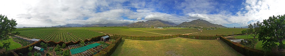 Morning views at <a href="/PicardiPlace/">PicardiPlace</a>