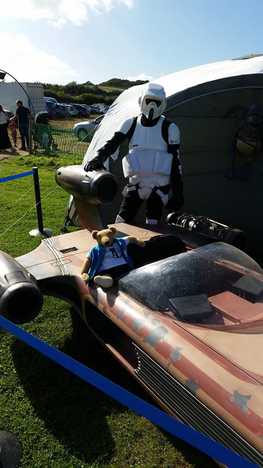 JoeBear00's tweet photo. "I'm not the bear you're looking for !!" https://t.co/TqQE4DyHML
