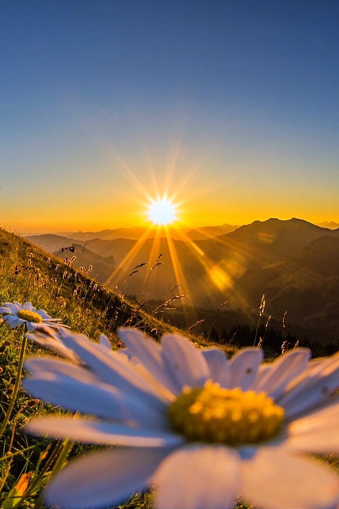 MariucciaPoli's tweet photo. Buongiorno e Buon Fine di Settimana amici i miei! https://t.co/IkN0wxe5tR