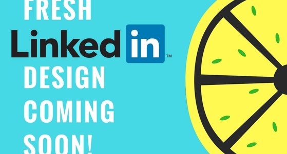 Het_Stel's tweet photo. Dutch article on #LinkedIn is giving you a peek on the new #design of this #socialmedia channel: https://t.co/G6NjKC0sRe. https://t.co/nR04nxPxh3